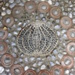 Sea Urchin Mosaic